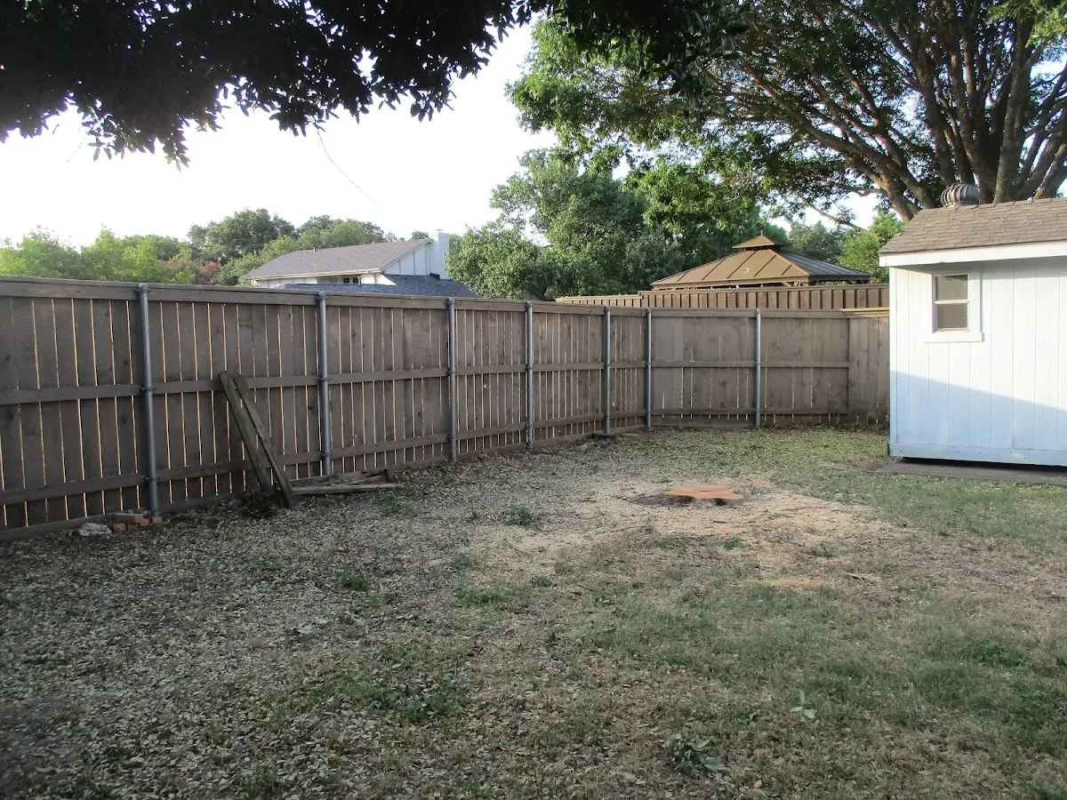 Cleared yard after professional tree removal in River Grove