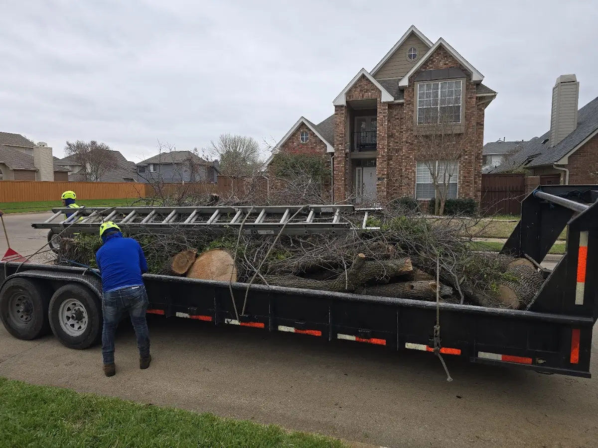 Expert Lot Clearing with proper safety equipment in River Grove